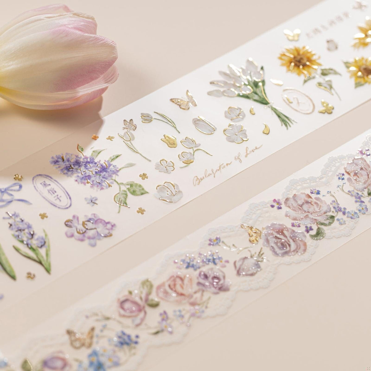 Hinoki - ‘Into the New Year’ 2024 Collector’s Edition Gift Set